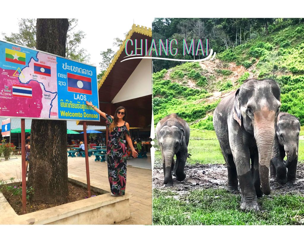 3 jours au nord, de Chiang Mai à Chiang Rai : à la rencontre des éléphants et des trésors du &laquo;&nbsp;triangle d&rsquo;or&nbsp;&raquo;