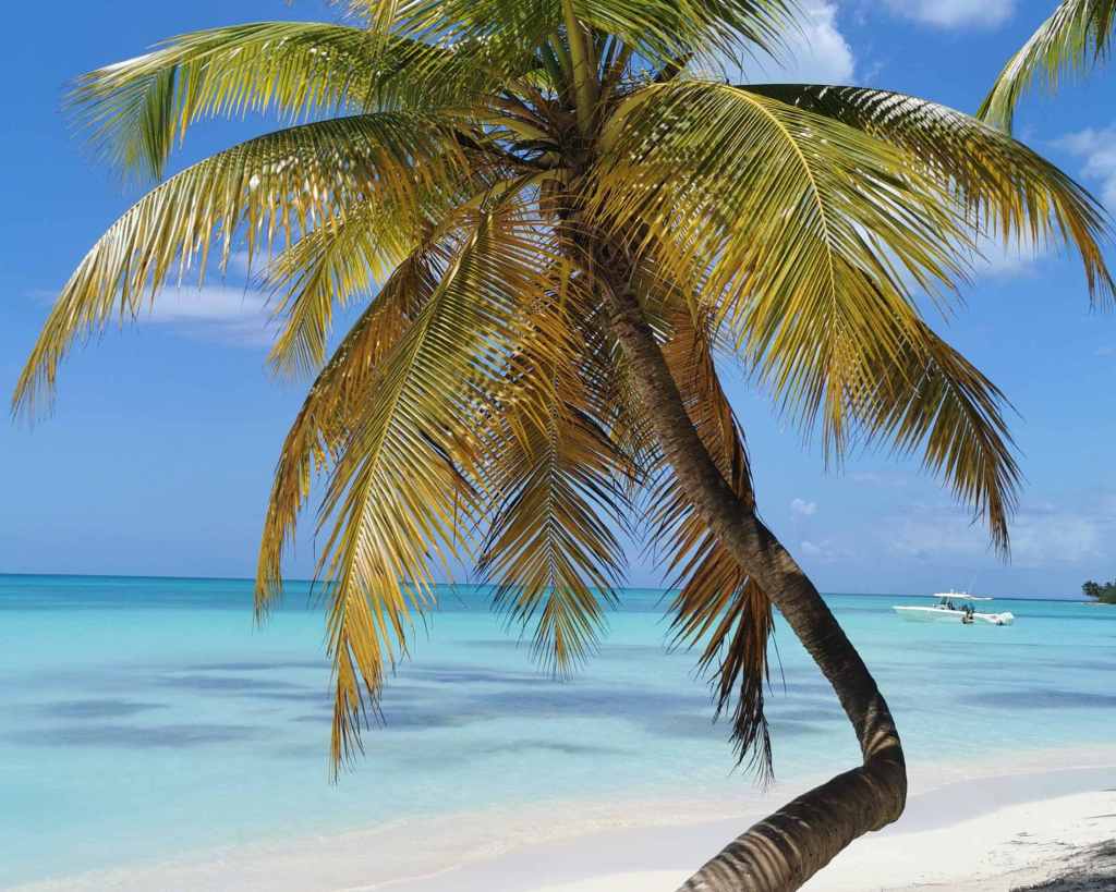 5 activités à faire absolument en République&nbsp;Dominicaine